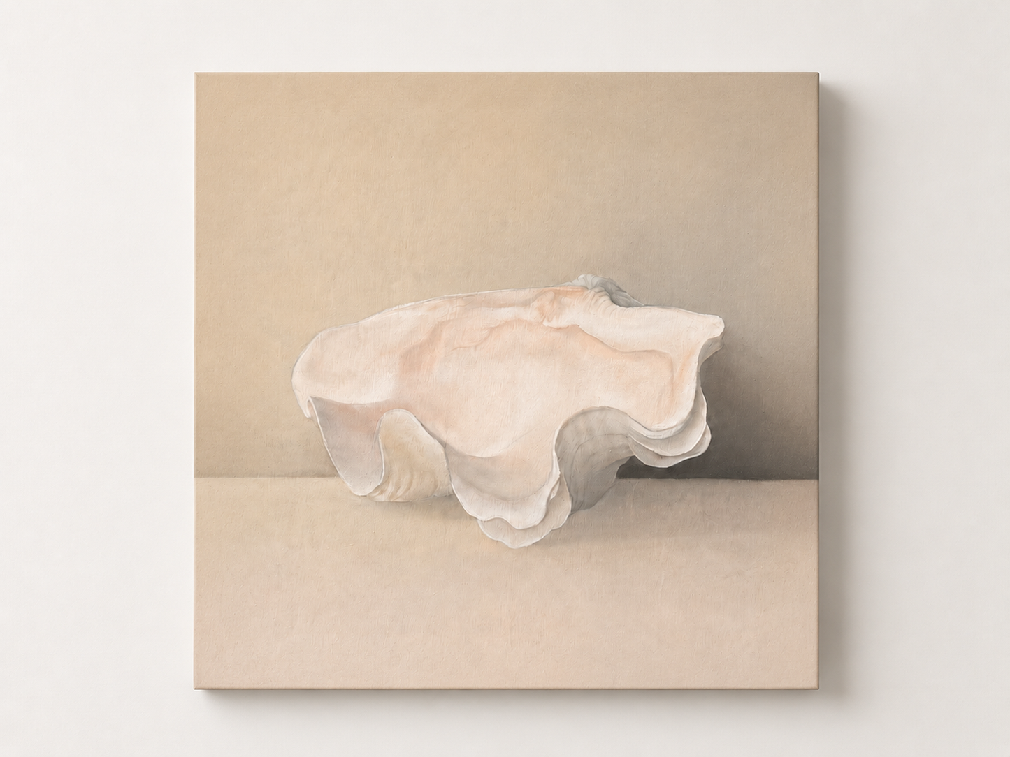 Shell Study No. 3 — Art Print